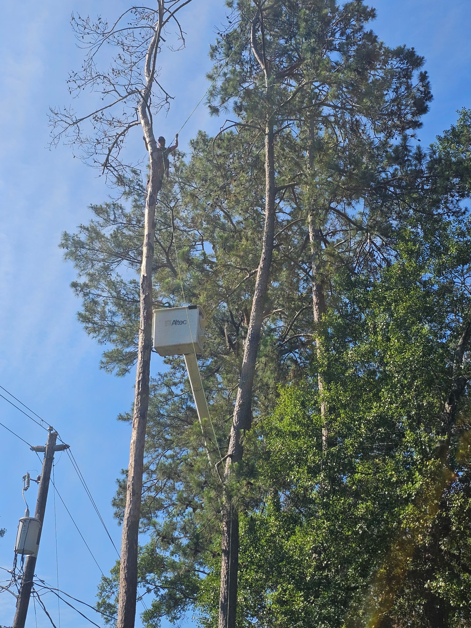 H&L bucket truck positioned for residential tree work