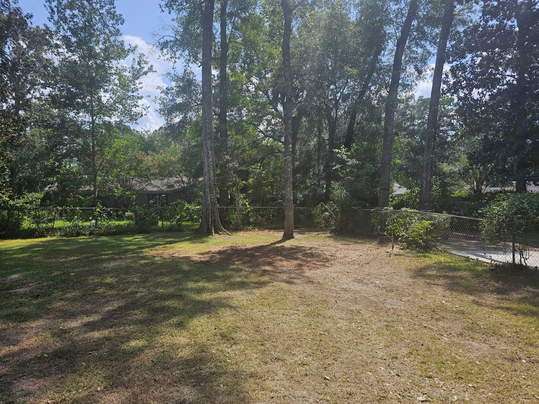 Residential yard opened up while selected mature trees remain