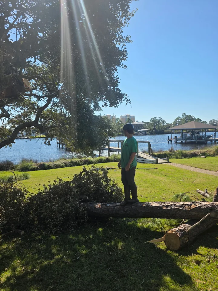 H&L crew member standing near cut trunk sections beside the water