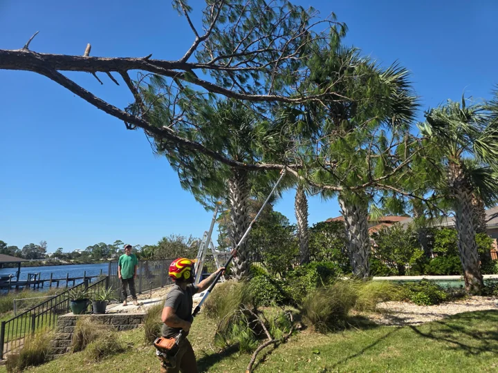 Crew members beside a damaged pine with palms and water behind them
