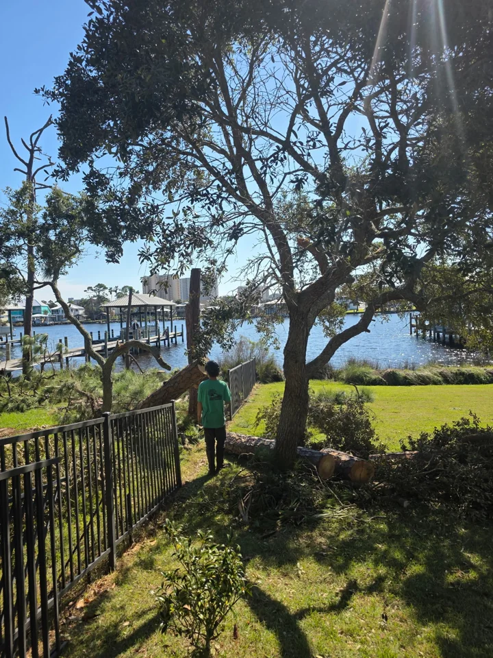 H&L crew member beside cut logs and branches in a waterfront yard