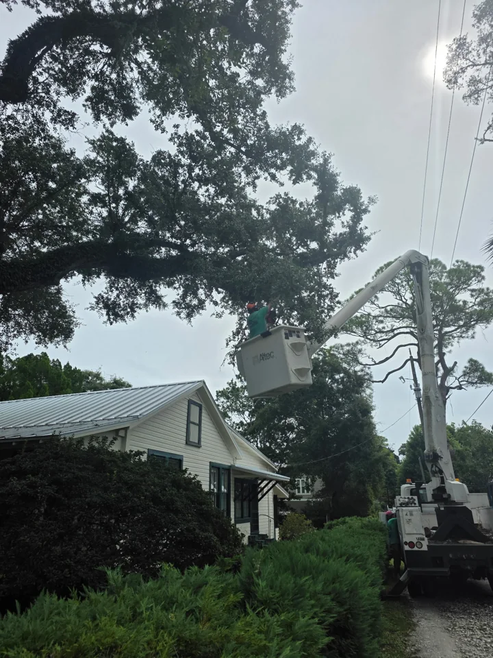 Raised bucket and work truck beside a house and hedge