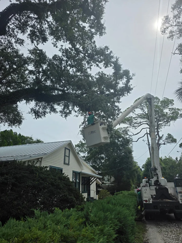 Bucket truck extended toward branches above a residential property